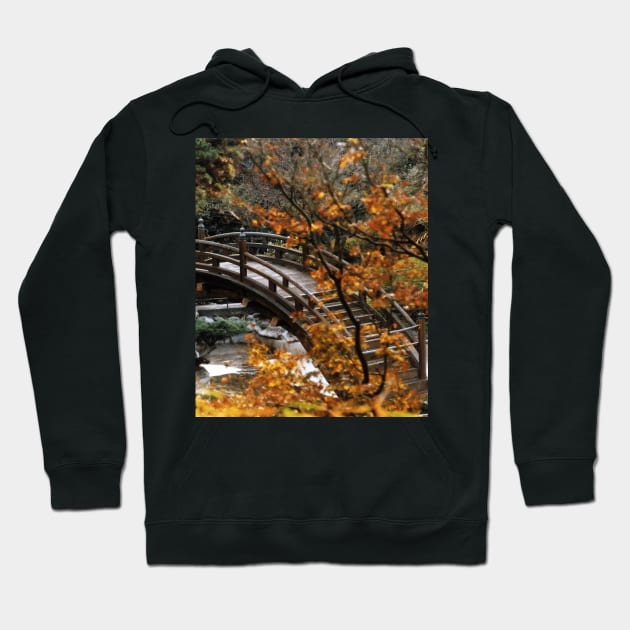 Bridge Hoodie by BlakCircleGirl